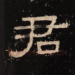 君