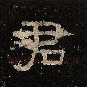 君