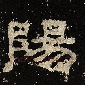 阳