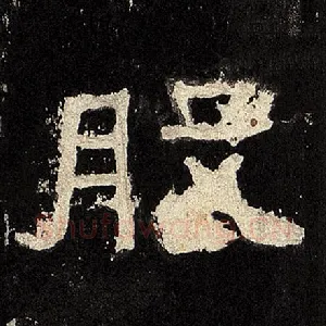 股