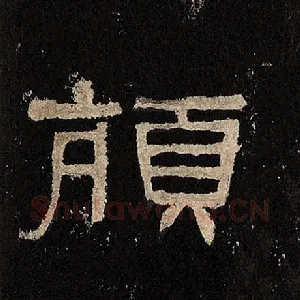 颃