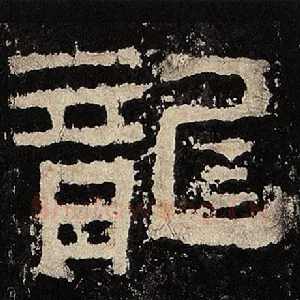 龙