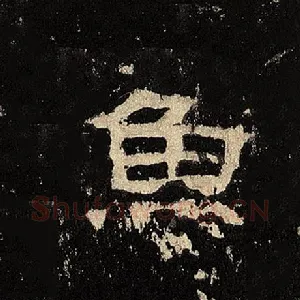 鱼