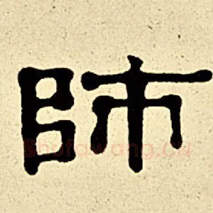 师