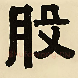 股